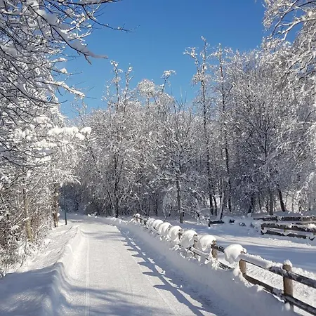 Apartmanhotel Matthias Mayrhofen