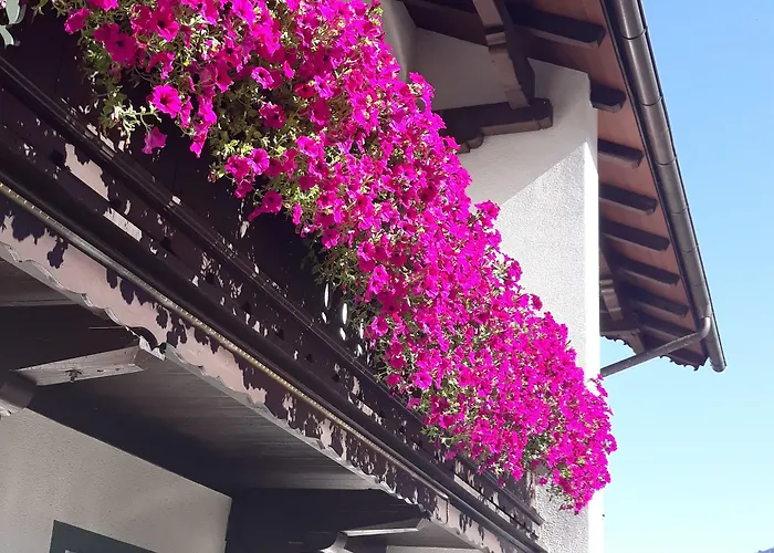 Matthias Apart Otel Mayrhofen